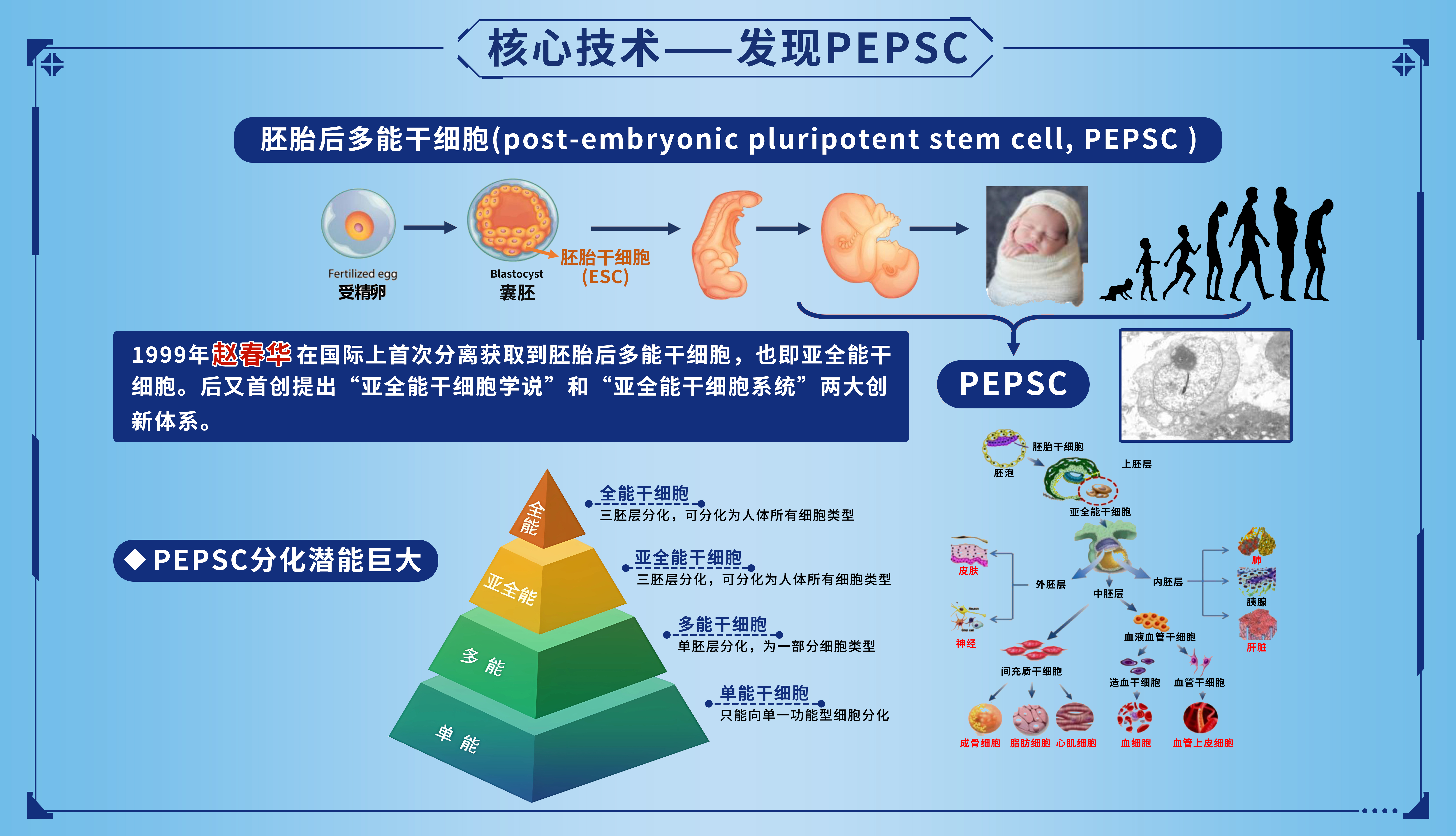 华安康源核心技术：亚全能干细胞