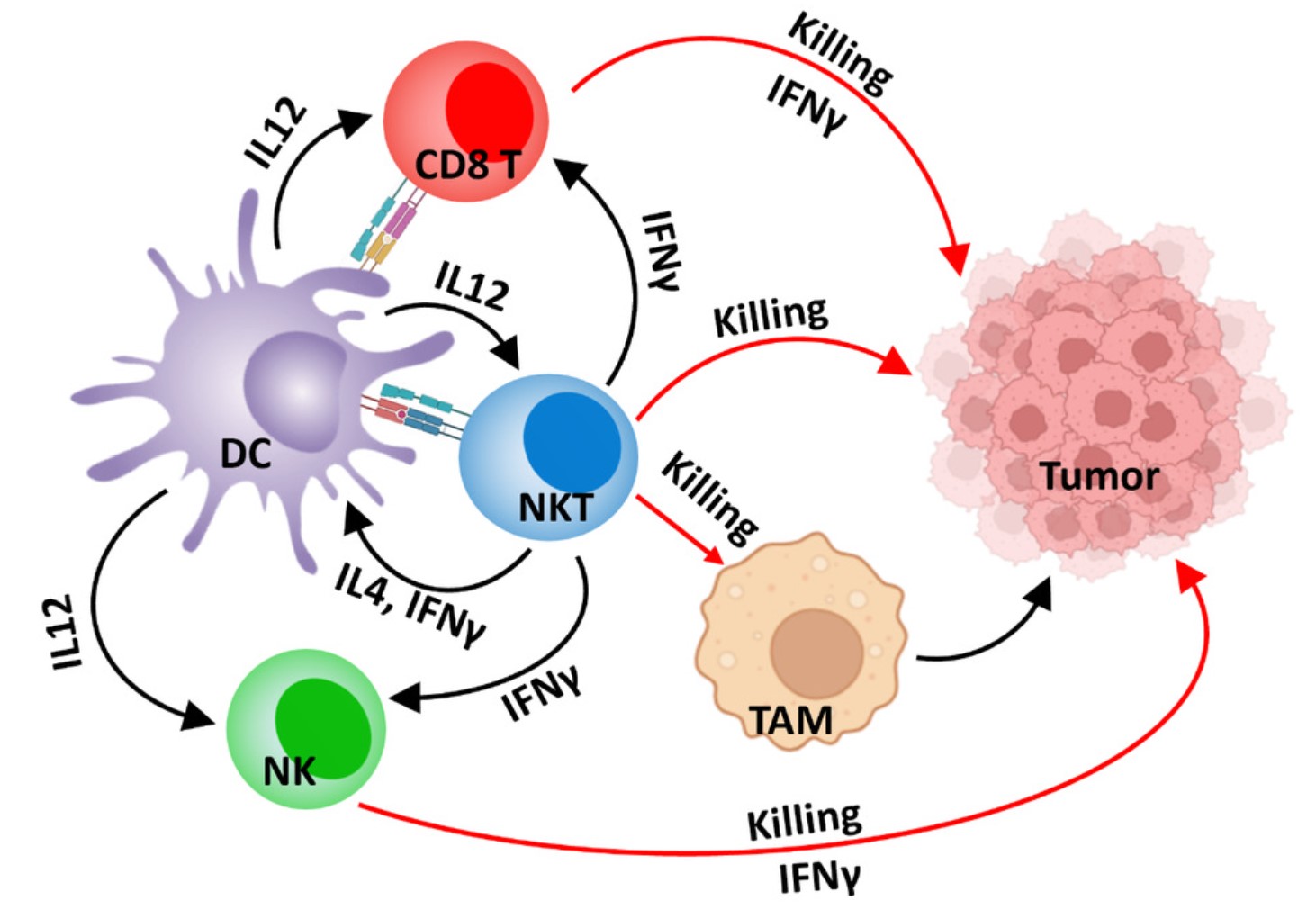 肿瘤免疫疗法方案